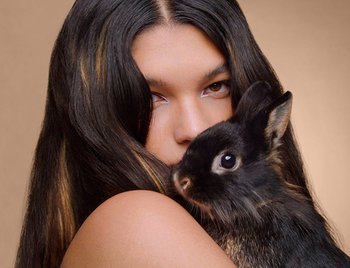 Leaping Bunny requires