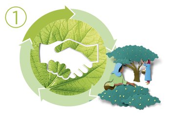 Garnier Sustainability and Green Beauty