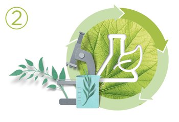 Garnier Sustainability and Green Beauty