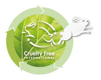 green beauty content block image CL