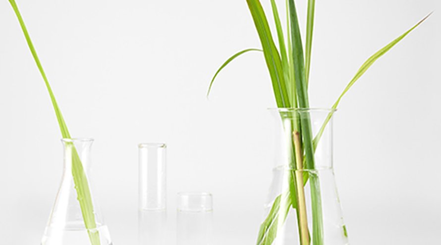 what is a cosmos organic certification