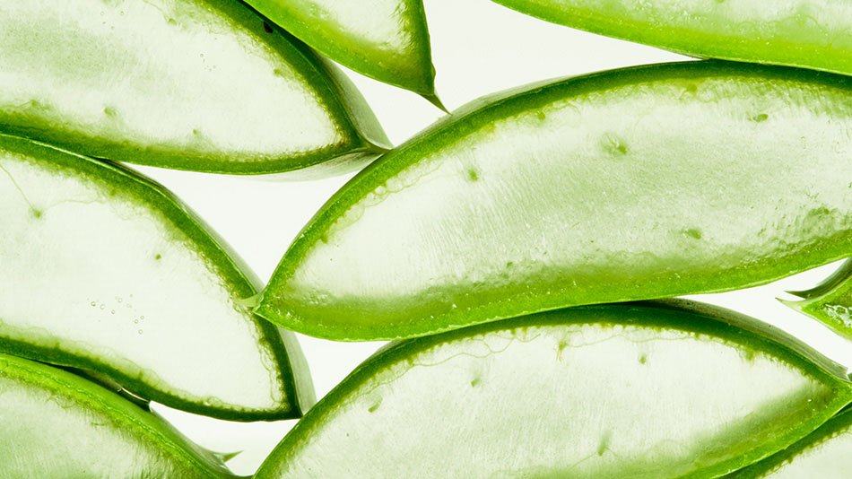 Garnier Aloe Vera