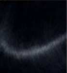black preview