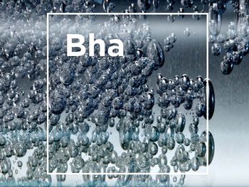 DMI BhaLP 02 ContentBlock stills intl mar2023