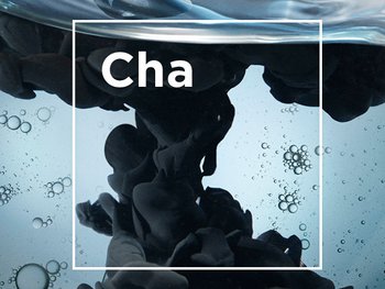 DMI CharcoalLP 02 ContentBlock stills intl mar2023