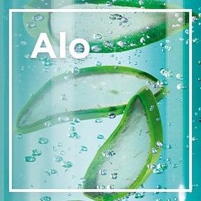 Aloe vera icon