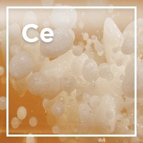Ceramides icon