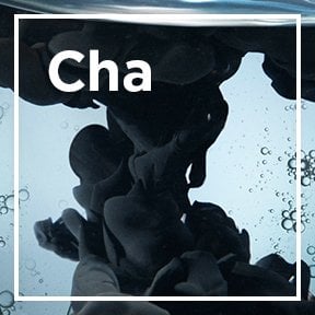 Charcoal icon