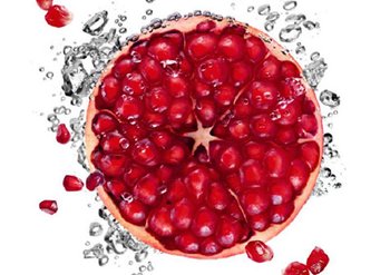 well known symbol content block