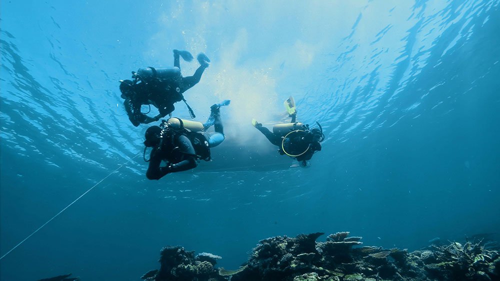 Three scuba divers underwater