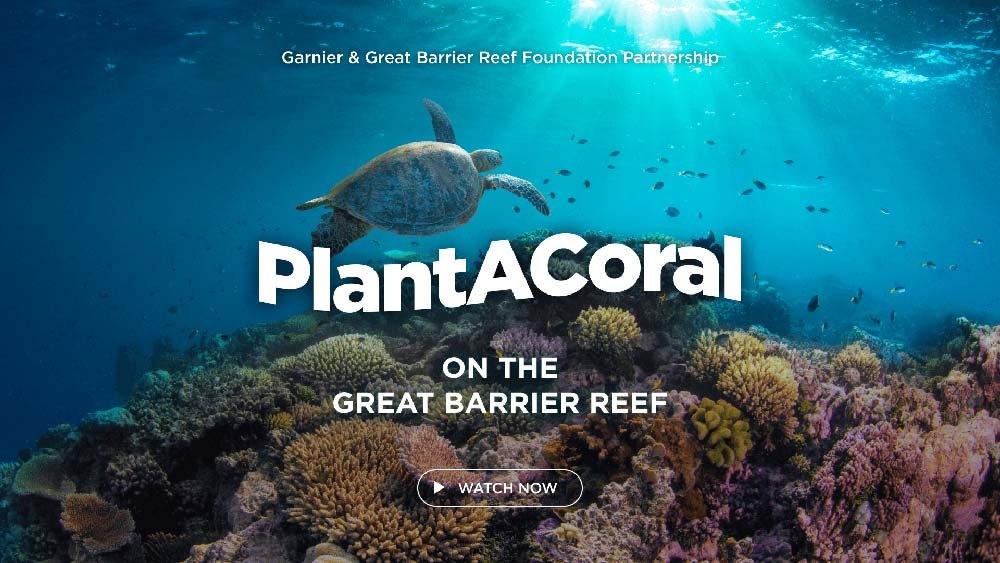 PlantACoral on the Great Barrier Reef: Watch now