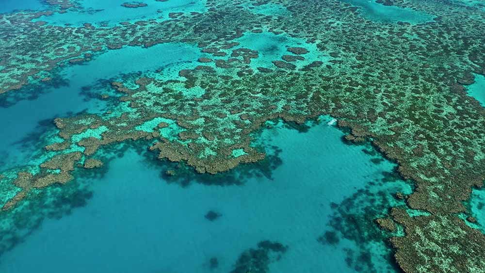 Aerial view of Great Barrier Reef