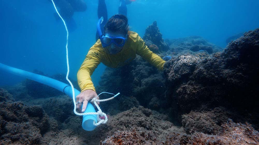 Scuba diver holding a tube underwater