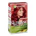 Garnier Nutrisse Ultra Colour 6.60 Fiery Red