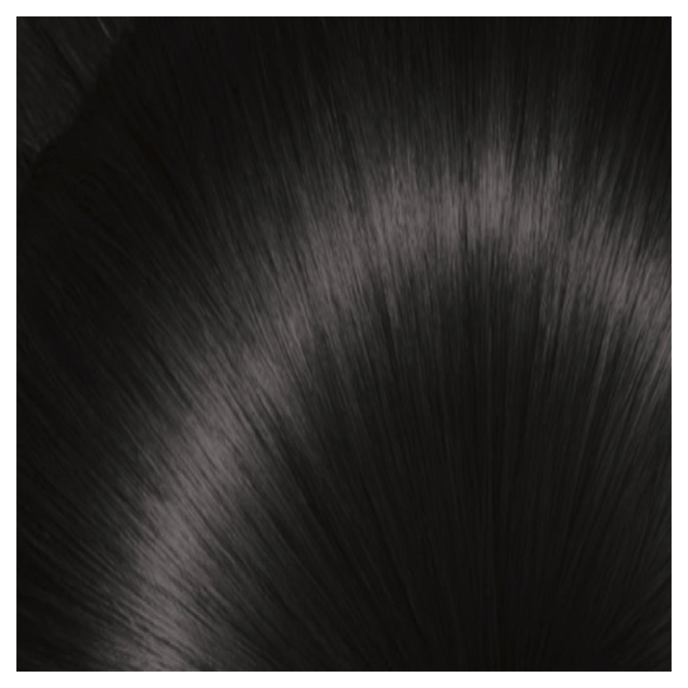 Olia 2P Permanent Dark Black Platinum Hair Colour Garnier