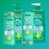 Fructis Shampoo for Oily Hair and Dry Ends