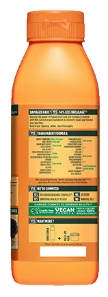garnier ecom fructis PapayaHairFoodShampoo Nov23 Packshot Back FA