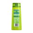 Garnier Fructis Shampoo