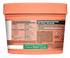 garnier ecom fructis PineappleHairFoodMask Nov23 Packshot Back FA