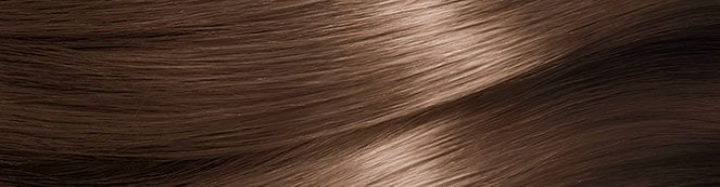 Garnier Nutrisse Hair Swatch