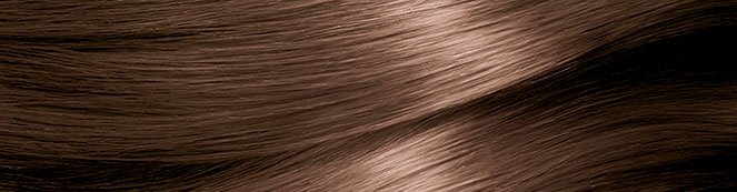 Garnier Nutrisse Hair Swatch