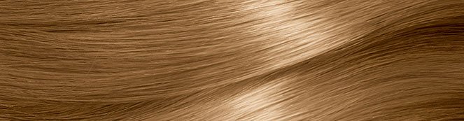 Garnier Nutrisse Hair Swatch