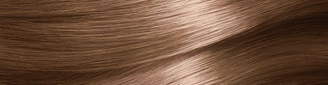 Garnier Nutrisse Hair Swatch