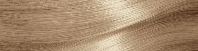 Garnier Nutrisse Hair Swatch
